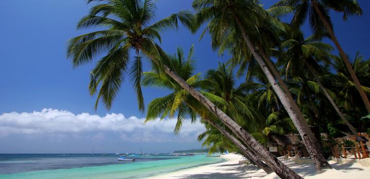 Voyage sur-mesure, île de mindoro